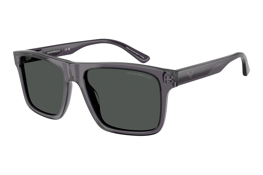 Emporio Armani   EA4232 610687 SmokeTransparent Dark Grey