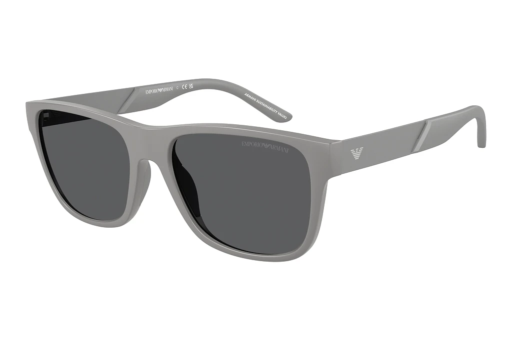 Emporio Armani   EA4243 6245/1 Polar GreyMatte Grey