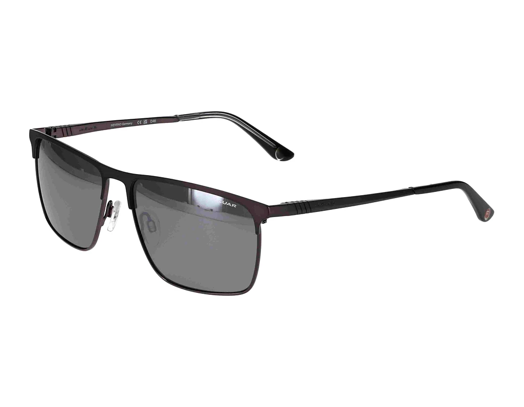 Front view Jaguar 37822 (4200)