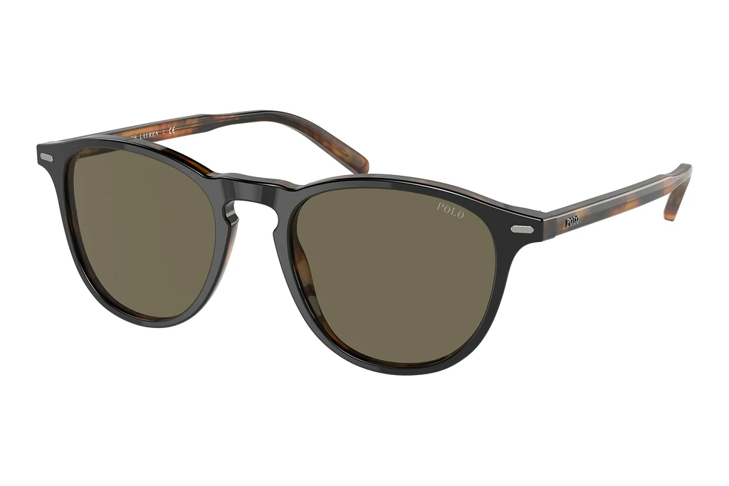 Polo   PH4181 5260/3 BrownShiny Black Havana