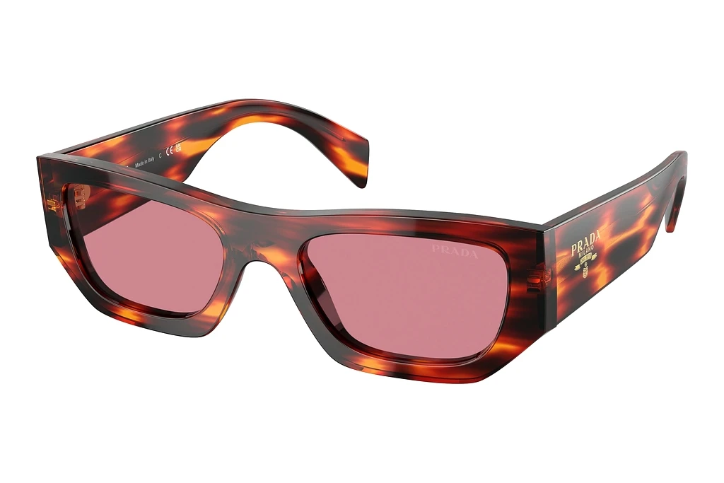 Prada   PR A01S 13O80B Dark VioletHavana Red