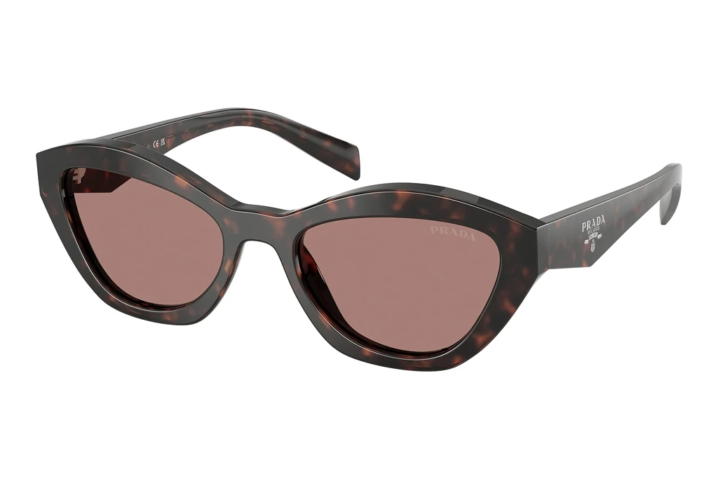 Prada   PR A02S 17N60B Light BrownRoot Tortoise