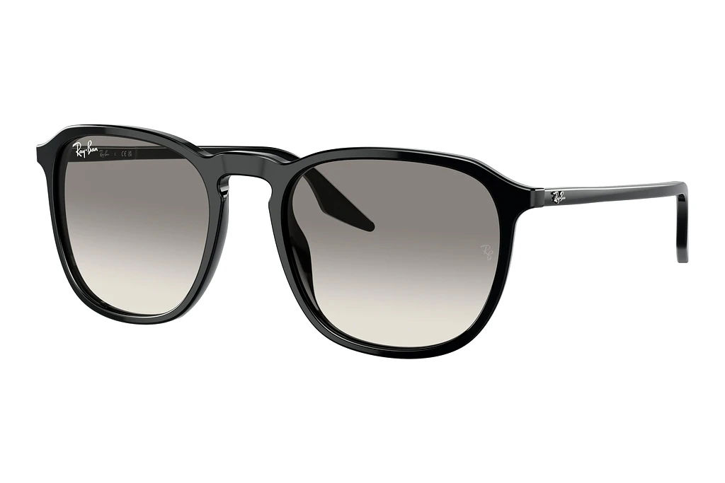 Ray-Ban   RB2203 901/32 Light GreyBlack