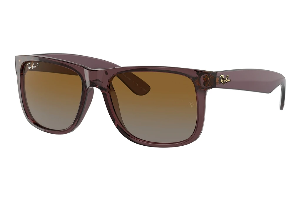 Ray-Ban   RB4165 6597T5 BrownTransparent Dark Brown