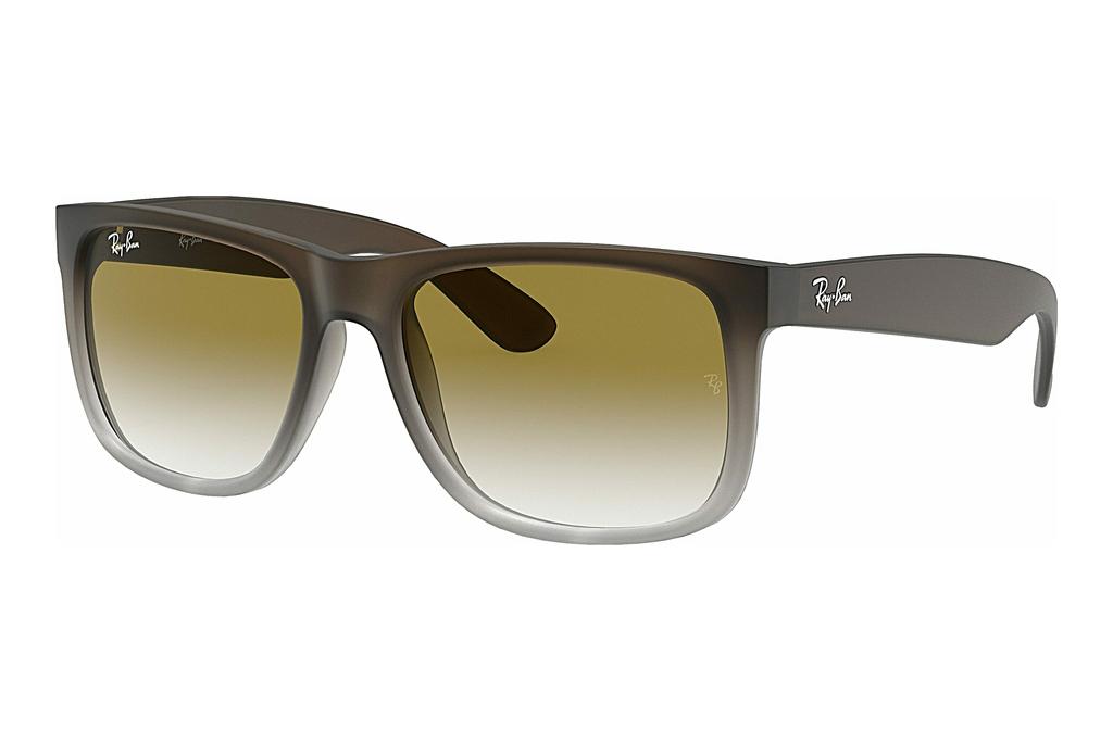 Ray-Ban   RB4165 854/7Z LIGHT GREY GRADIENT GREENRUBBER BROWN ON GREY