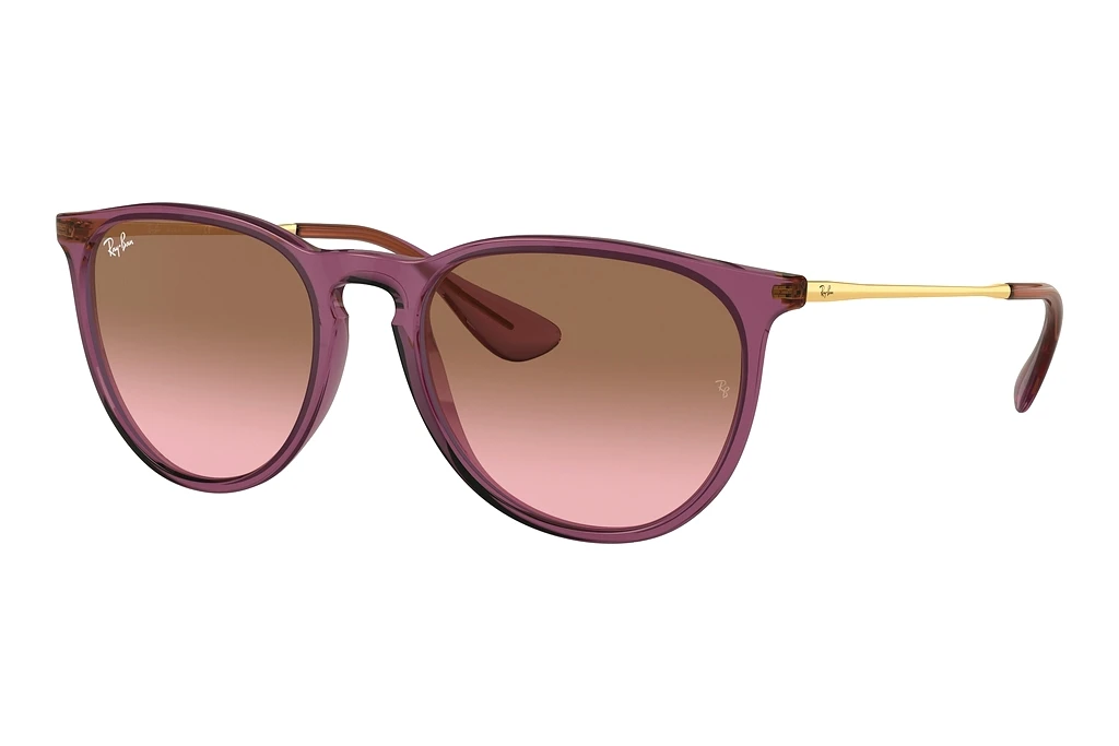 Ray-Ban   RB4171 659114 Pink Gradient BrownTransparent Violet
