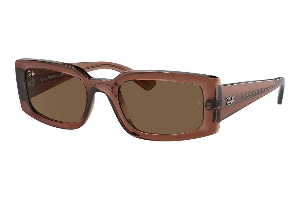 Ray-Ban   RB4395 667873 Dark BrownTransparent Brown