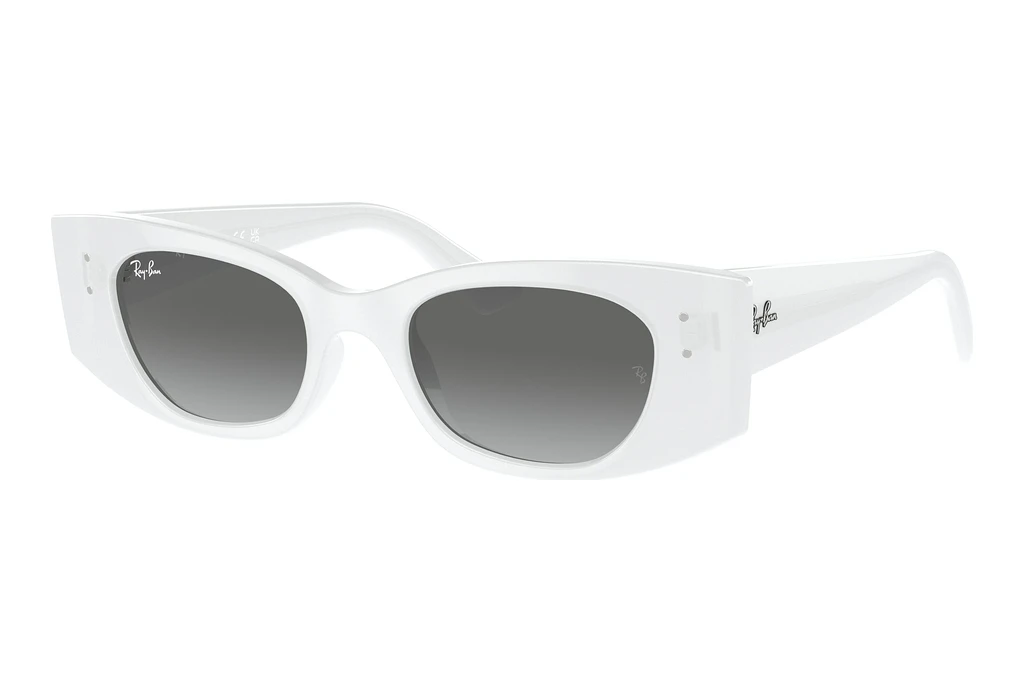 Ray-Ban   RB4427 675911 GreyWhite