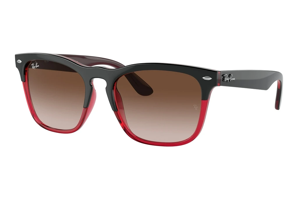 Ray-Ban   RB4487 663113 BrownGrey On Transparent Red