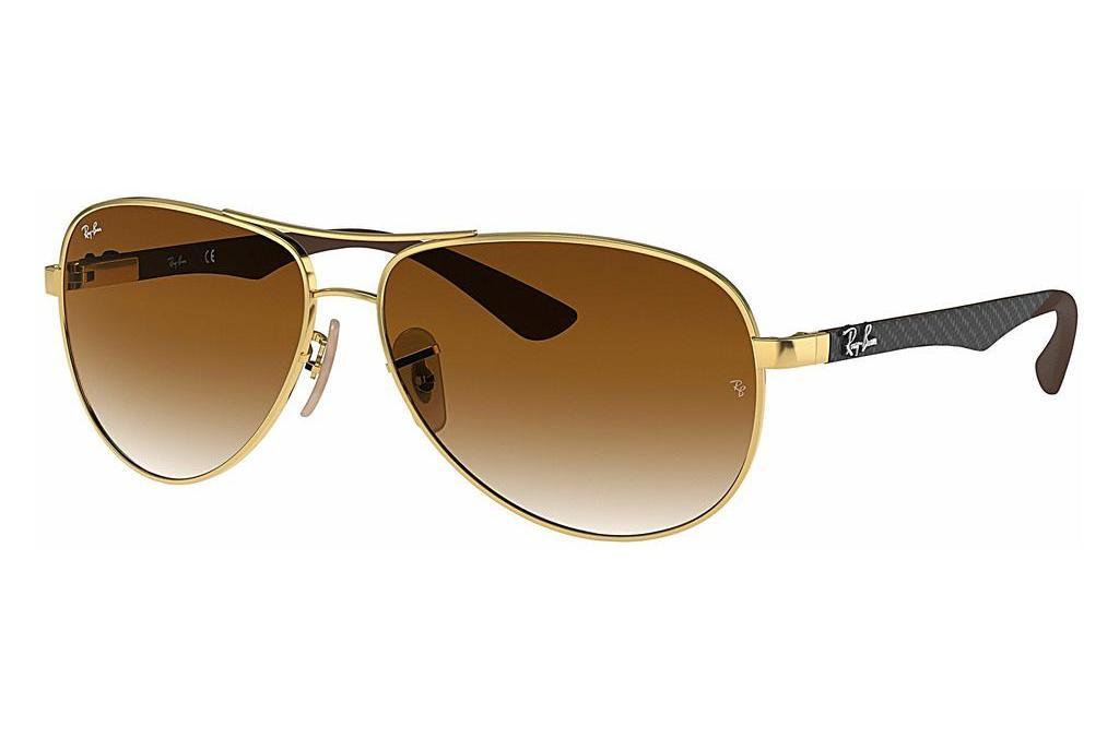 Ray-Ban   RB8313 001/51 CLEAR GRADIENT BROWNARISTA