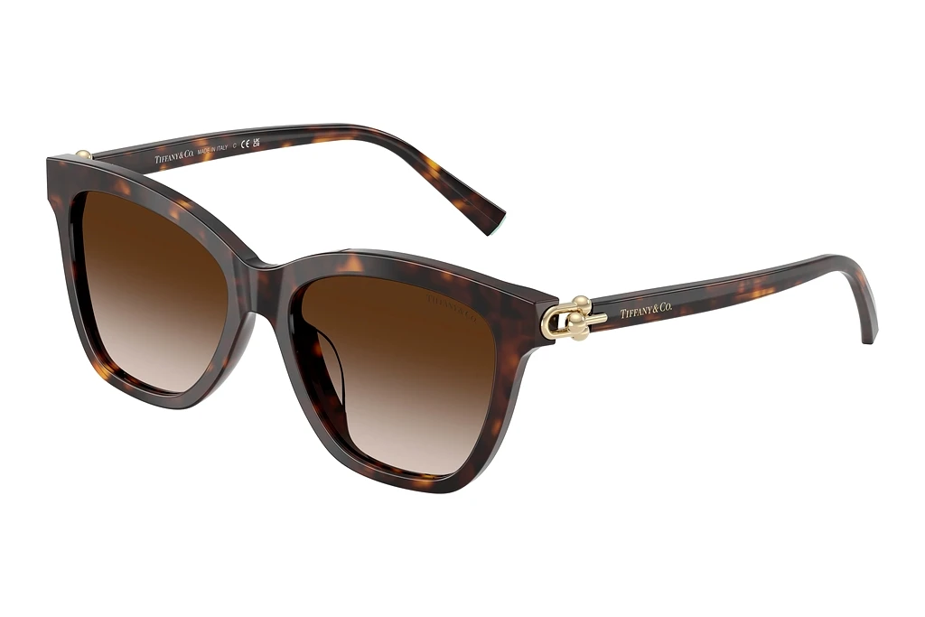 Tiffany   TF4241D 80153B Brown GradientHavana