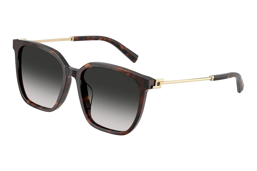 Tiffany   TF4244D 80153C Grey GradientHavana