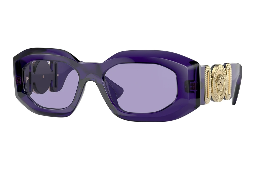 Versace   VE4425U 54191A VioletPurple Transparent