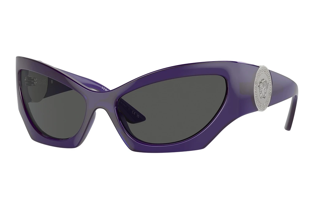 Versace   VE4450 541987 Dark GreyTransparent Violet