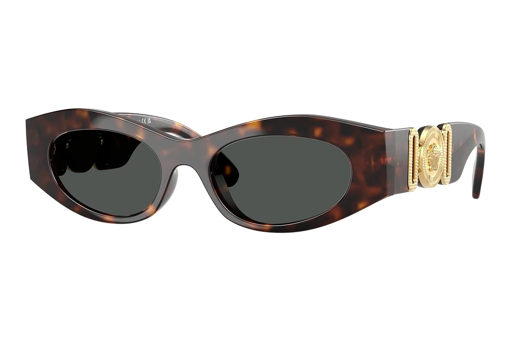 Versace   VE4480U 108/87 Dark GreyHavana