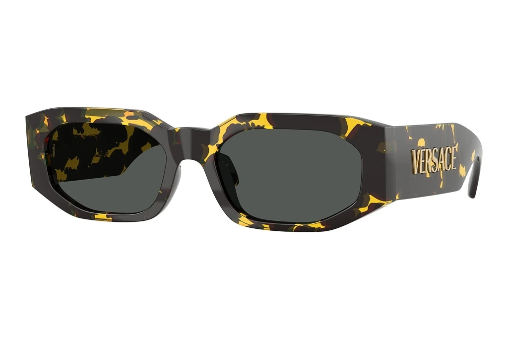 Versace   VE4489U 552887 Dark GreyBrown Tortoise