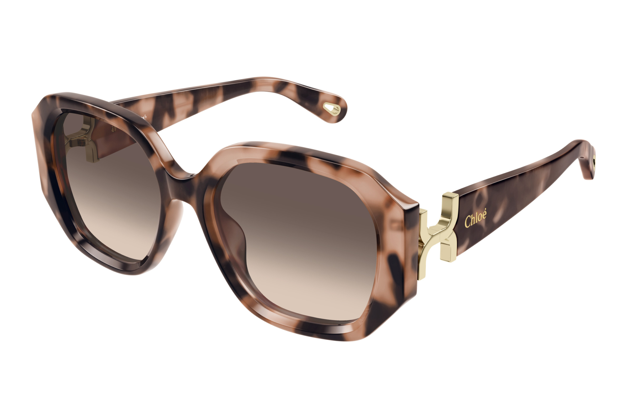 Chloé   CH0236S 005 HAVANA