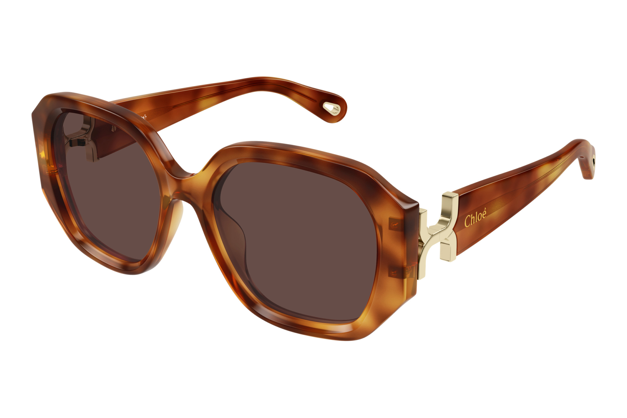 Chloé   CH0236S 006 HAVANA