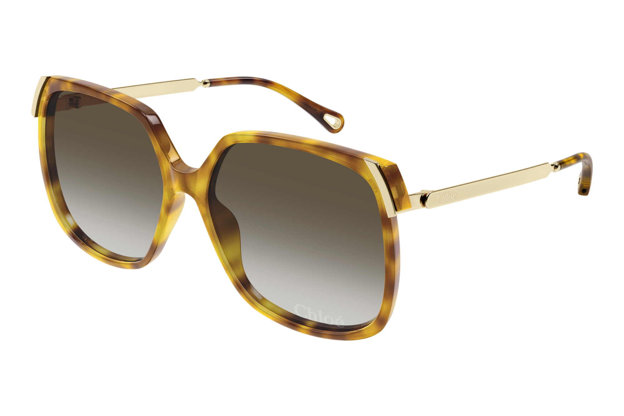 Chloé   CH0286S 010 HAVANA