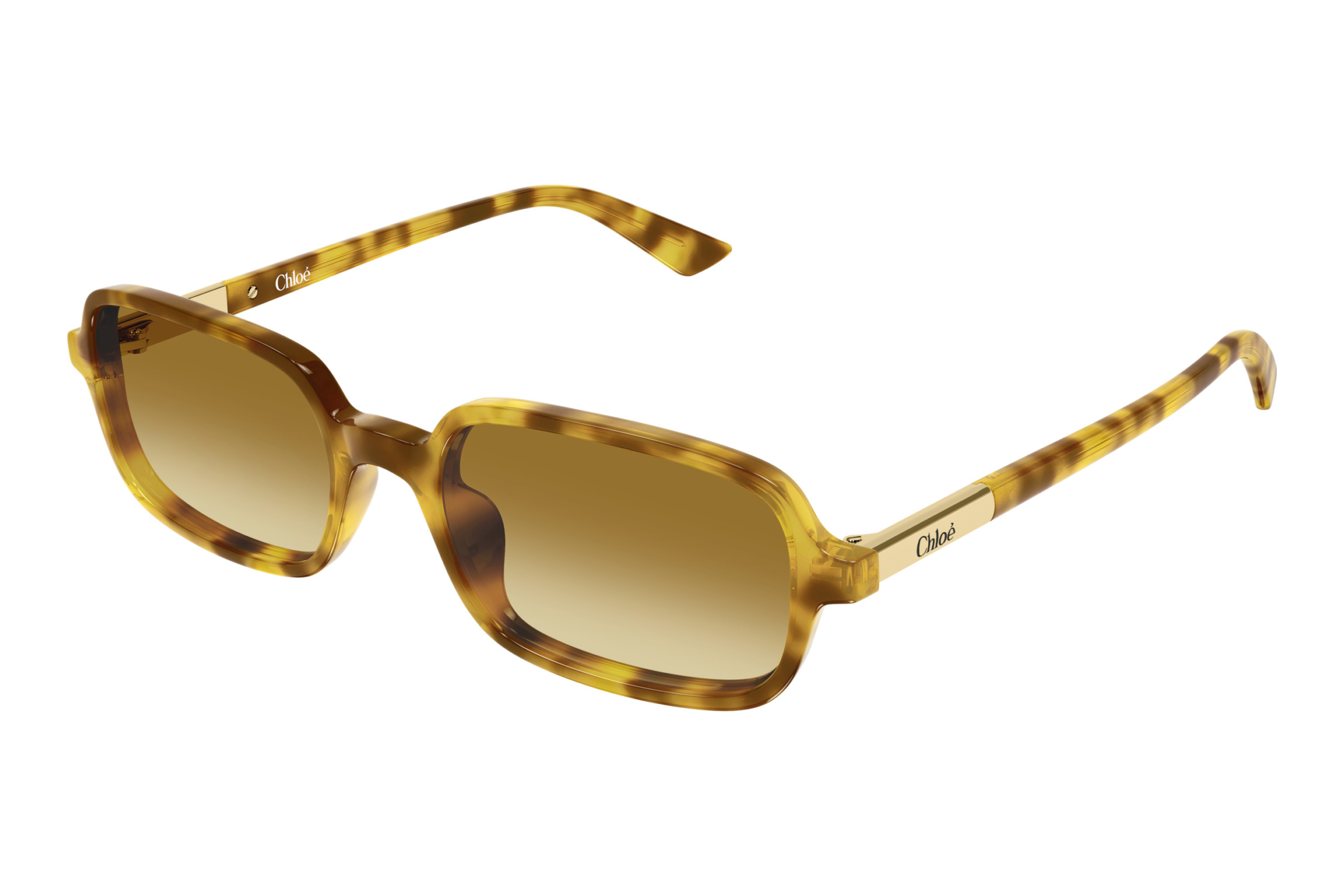 Chloé   CH0363S 004 HAVANA