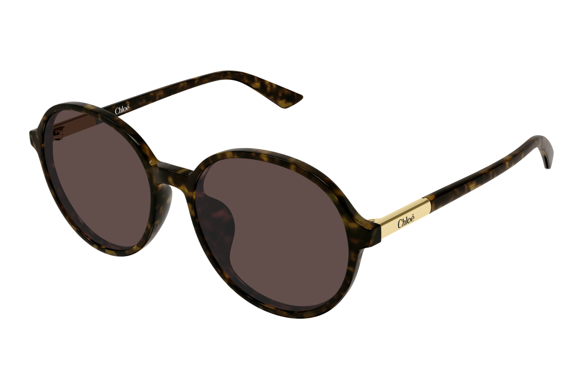 Chloé   CH0365SK 002 HAVANA