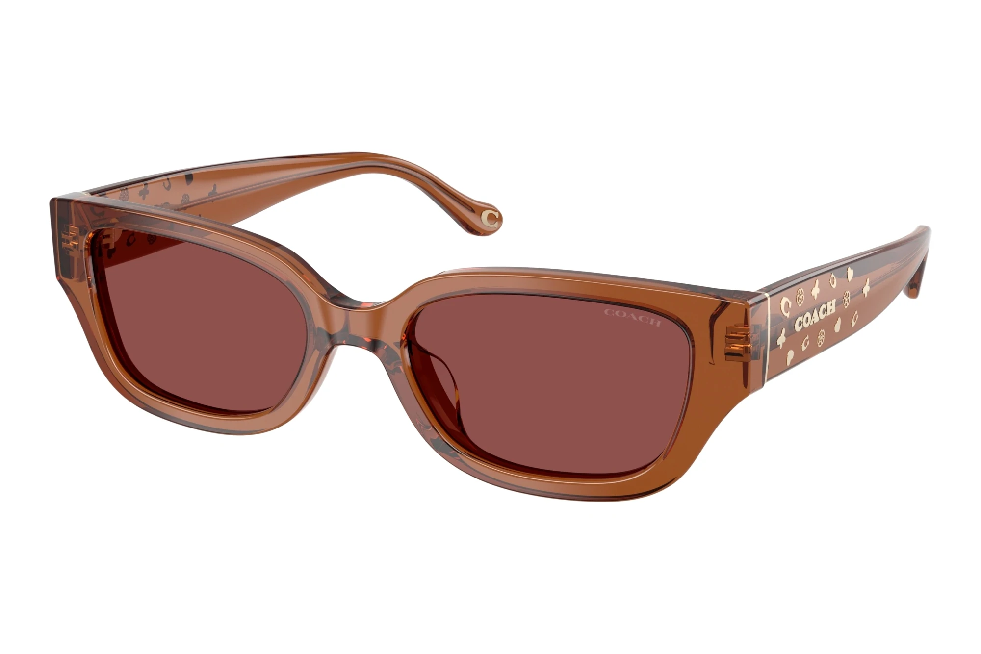 Coach   HC8439U 581175 Wine SolidTransparent Brown
