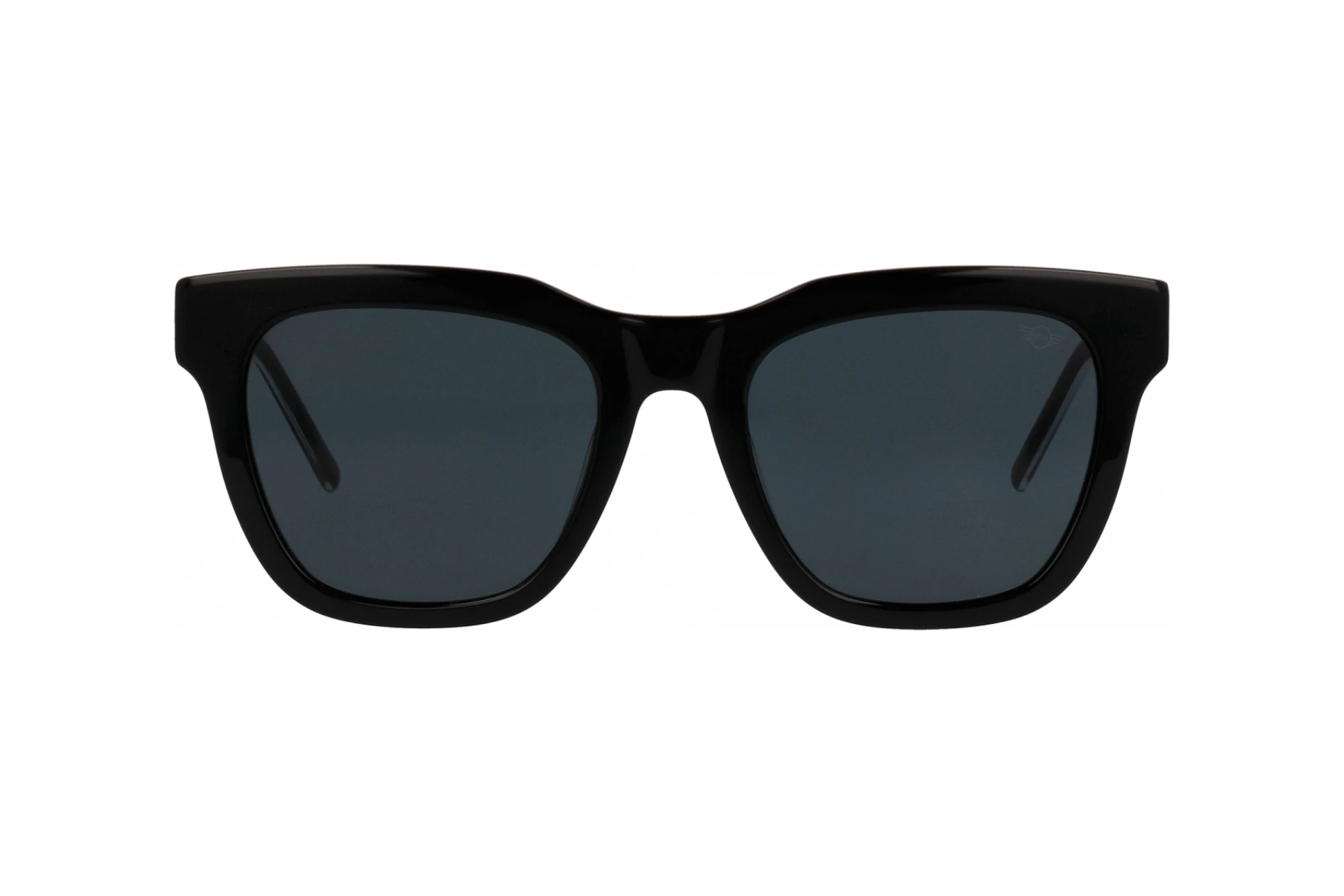 Front view MINI Eyewear MI 746018 (10)