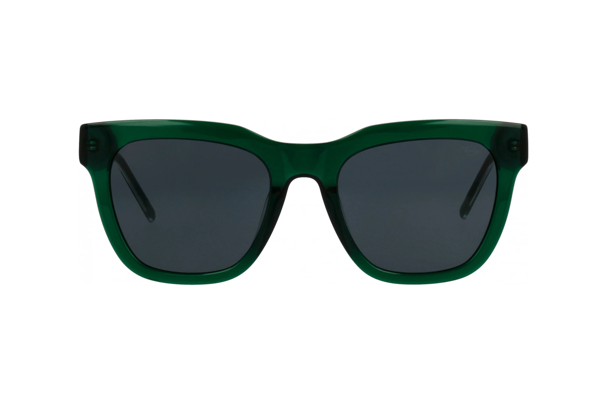 Front view MINI Eyewear MI 746018 (40)