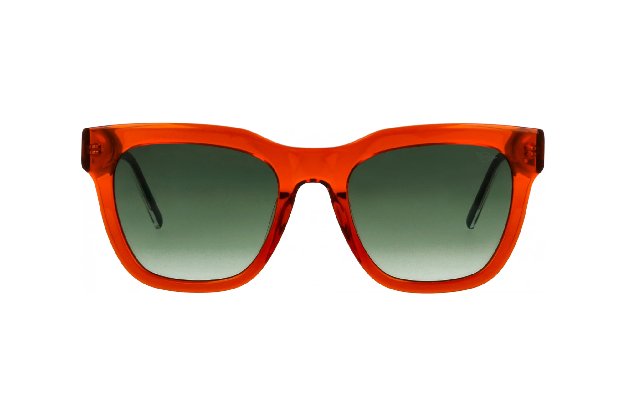 Front view MINI Eyewear MI 746018 (90)