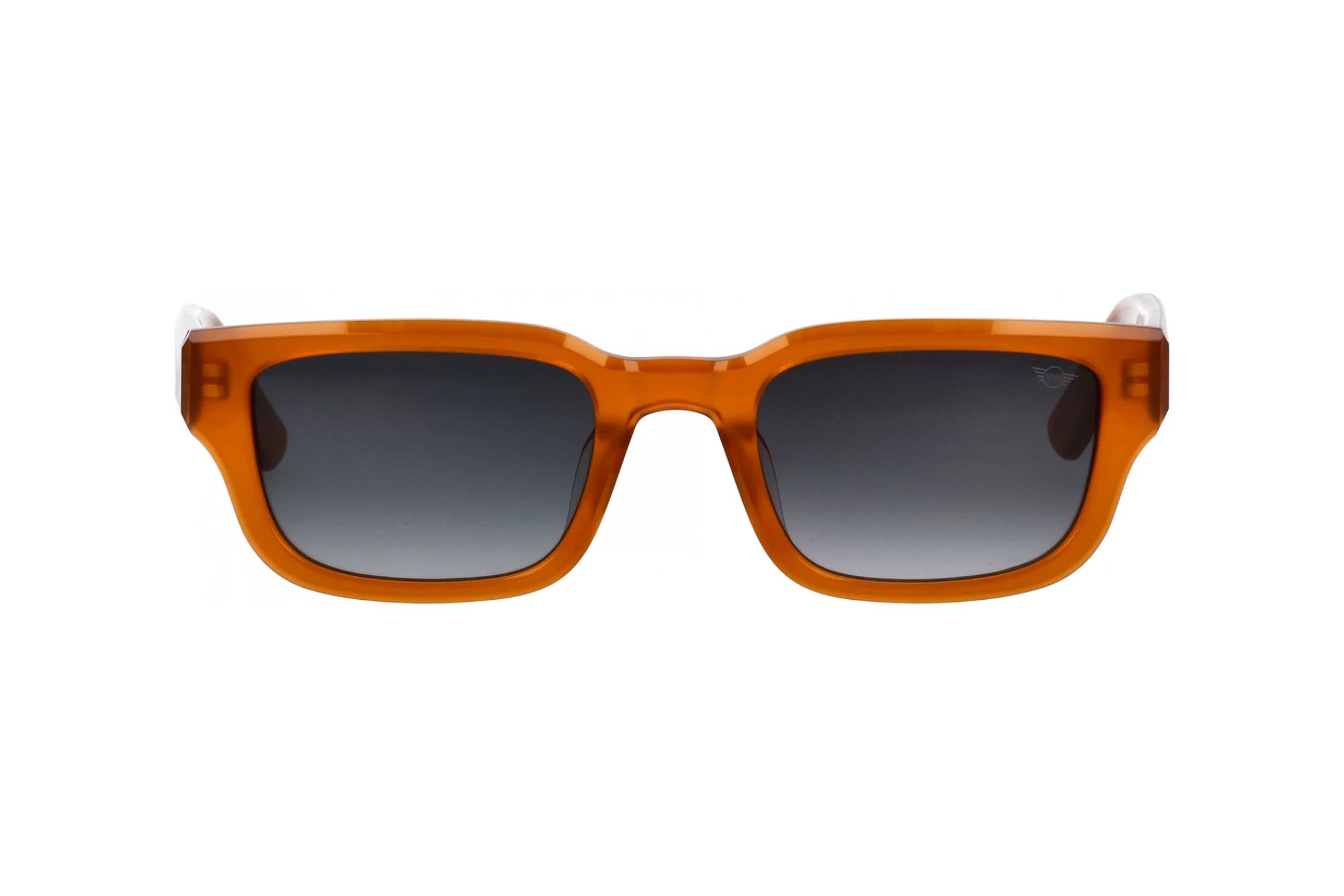 Front view MINI Eyewear MI 746022 (60)