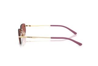 Side view Arnette AN3096 (748/69)