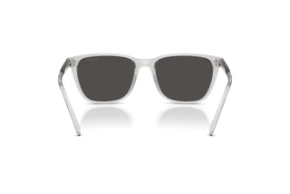 Rear view Arnette CORTEX (AN4291 - 285887)