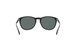Rear view Arnette GORGON (AN4299 - 275381)