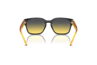 Rear view Arnette HAMIE (AN4325 - 27862Q)