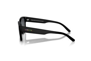 Side view Arnette HAMIE (AN4325 - 290087)