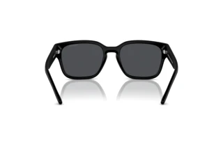 Rear view Arnette HAMIE (AN4325 - 290087)