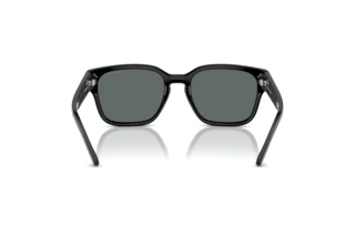Rear view Arnette HAMIE (AN4325 - 291081)