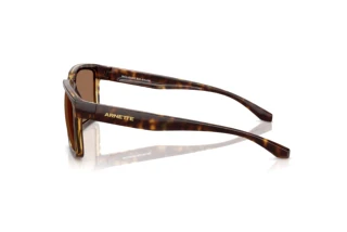 Side view Arnette PLOT TWIST (AN4346 - 277073)