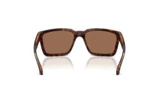 Rear view Arnette PLOT TWIST (AN4346 - 277073)
