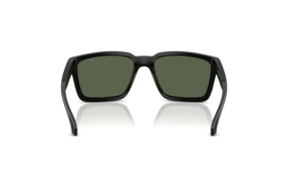 Rear view Arnette PLOT TWIST (AN4346 - 290071)