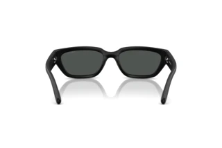 Rear view Arnette CURBSIDE (AN4350 - 297587)