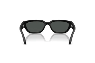 Rear view Arnette CURBSIDE (AN4350 - 297687)