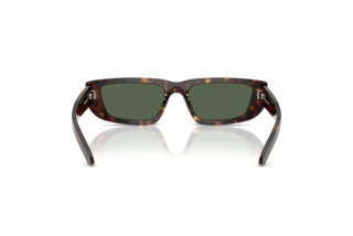 Rear view Arnette AL (AN4357 - 122271)