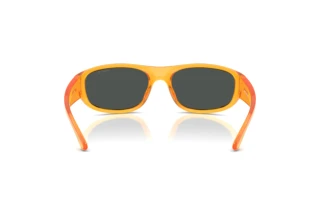 Rear view Arnette GONDO (AN4361 - 287587)