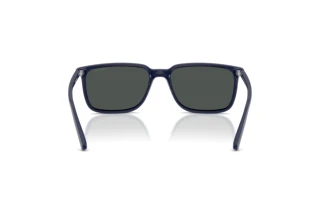 Rear view Arnette DINSKY (AN4364 - 275487)