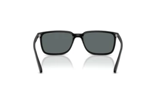 Rear view Arnette DINSKY (AN4364 - 290081)