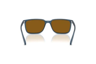 Rear view Arnette DINSKY (AN4364 - 299683)