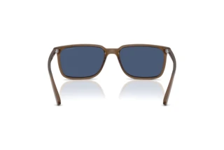 Rear view Arnette DINSKY (AN4364 - 299780)