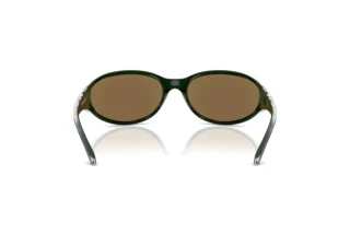 Rear view Arnette RAVEN (AN4368 - 303422)