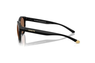 Side view Arnette AN4371 (290073)